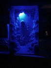 Ocean Book Nook — photo 2