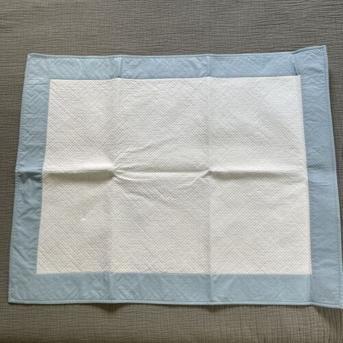 the　pillows　25th　Anniversary　NEVER　ENDIN the pillows / 25th Anniversary NEVER ENDING STORY 