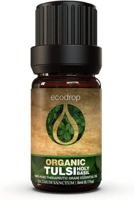 ECODROP Tulsi Essential Oil Holy Basil Certified Pure Organic Therapeutic Aromatherapy