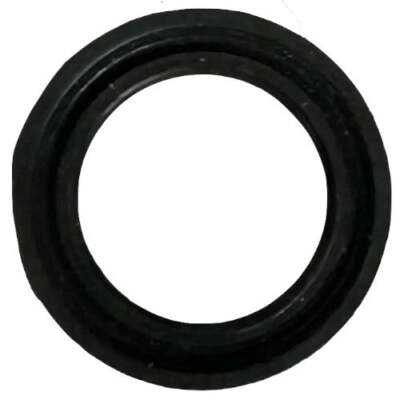 SKF 40X55X10 CRS1 R, 15937 Oil Seal