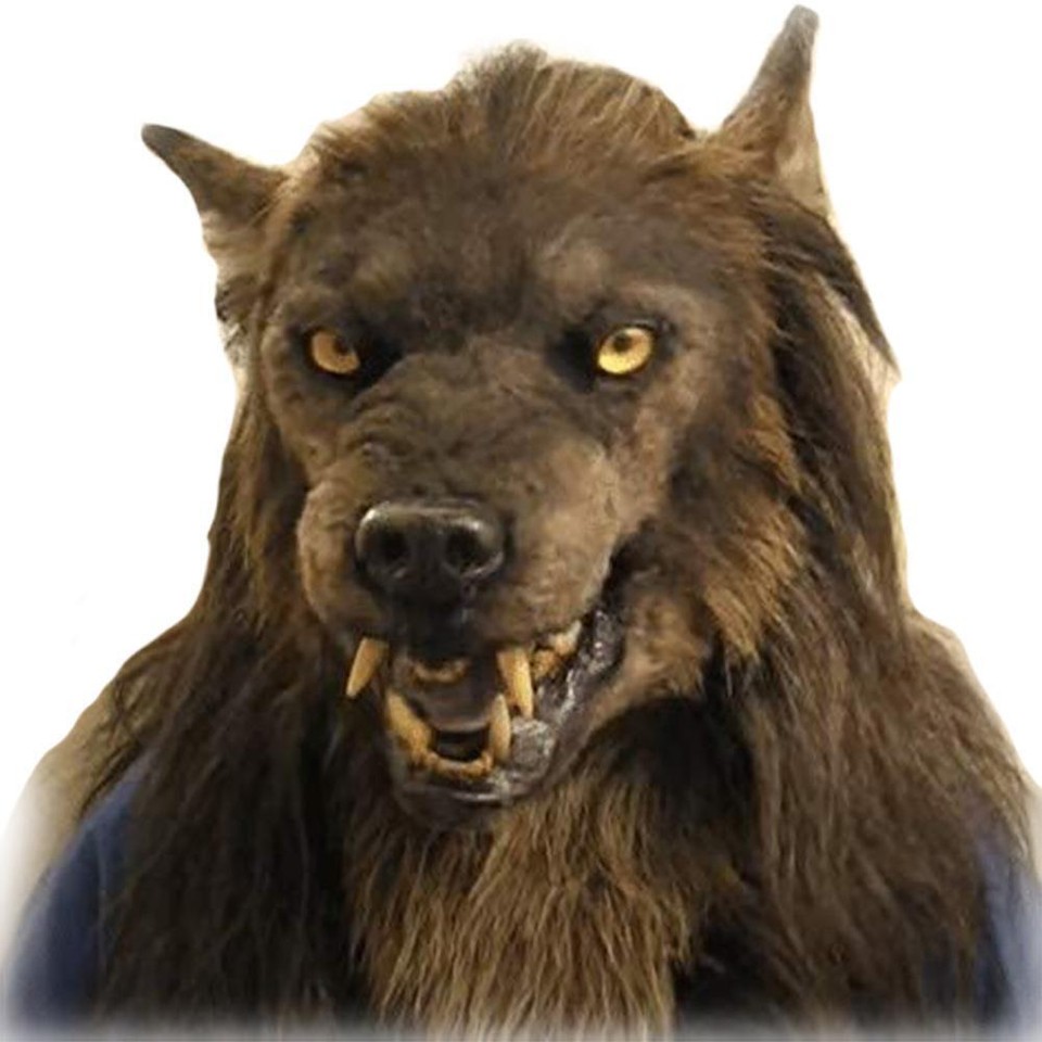 Super Realistic Werewolf Mask Halloween Cosplay Party Costume New eBay