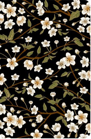 Little Women Notebook - Blank (Chiltern Notebook), Publishing, Chiltern, NewBook