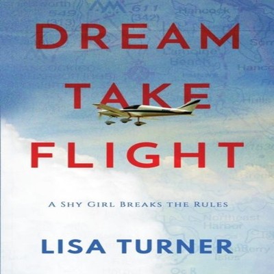 Dream Take Flight An Unconventional Journey Lisa Turner Paperback