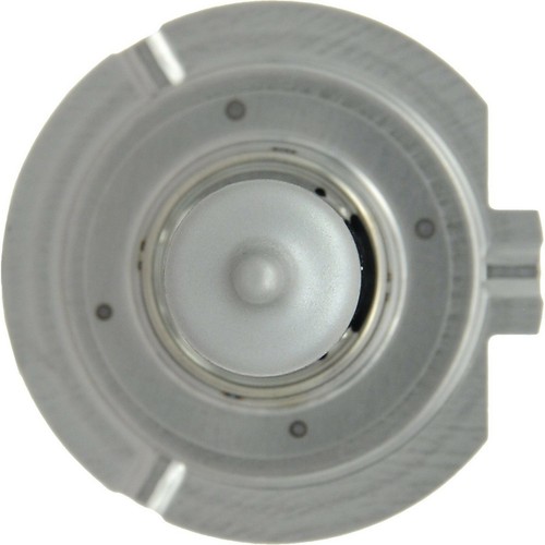 Halogen H7 100W 5000K White Two Bulbs Head Light High Beam Replace high Wattage - Picture 4 of 12