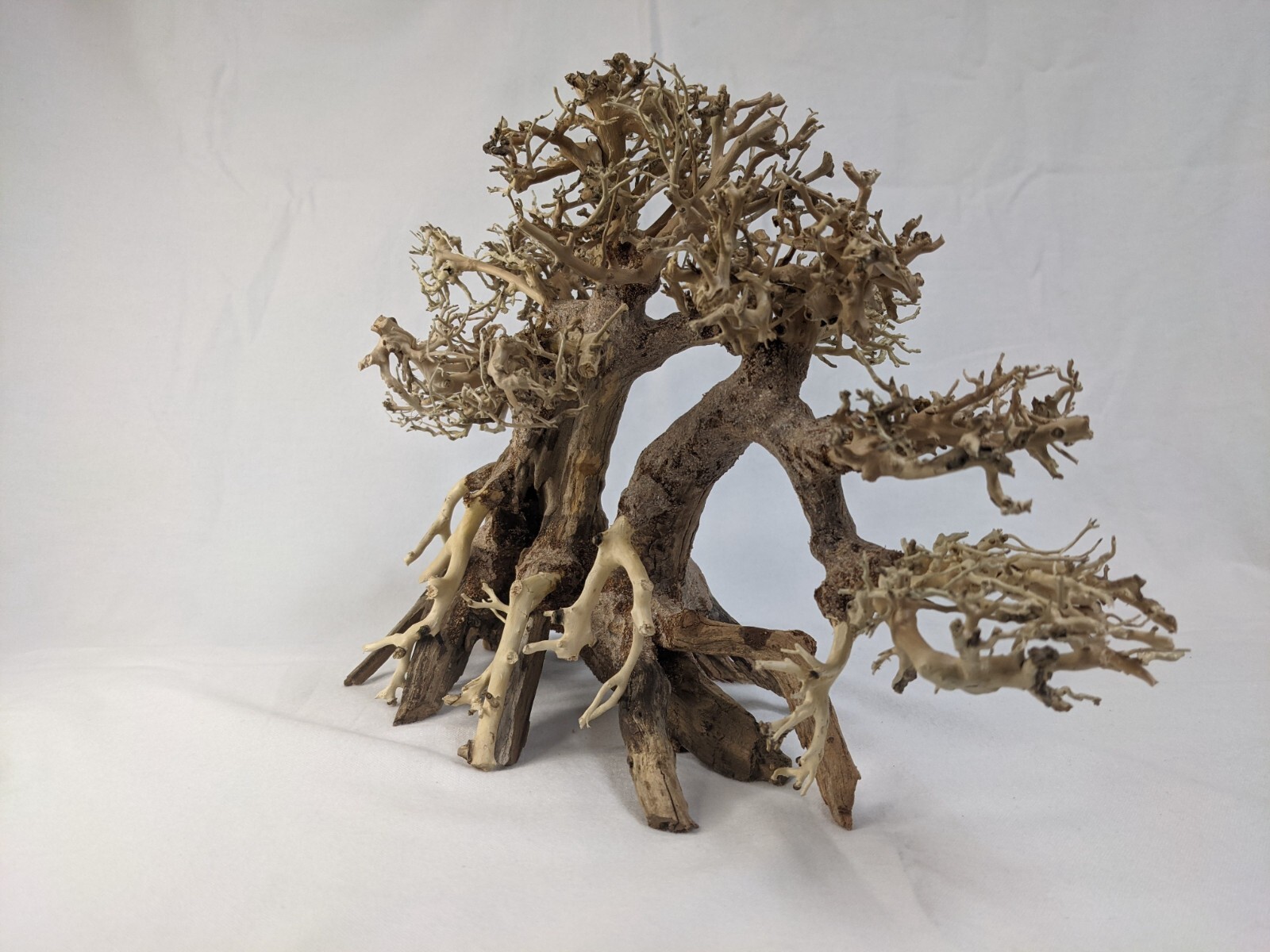 Natural Bonsai Driftwood Aquarium Tree eBay