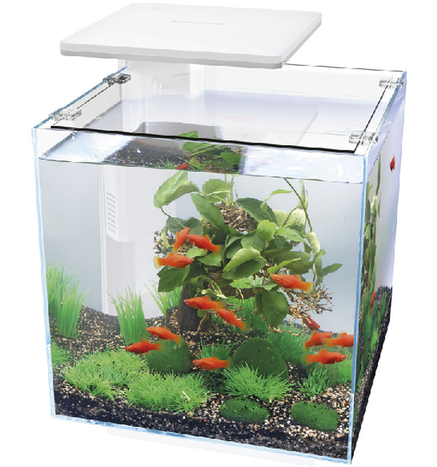 Superfish QubiQ 30 LED White 30L Nano Cube Aquarium Fish Tank Filter & LED Light