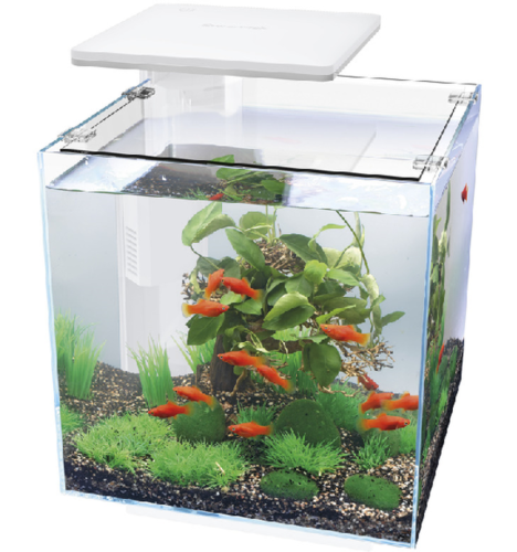 Superfish QubiQ 30 LED White 30L Nano Cube Aquarium Fish Tank Filter & LED Light - Picture 1 of 3