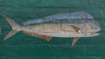 #ad #ad Photo:Port Isabel Texas 1906 Fish Mural Champion Building Facade Painting $13.49