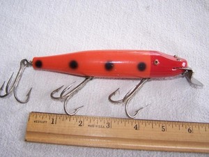 Creek chub Beetle for sale | eBay