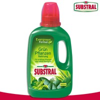 Substral 500Ml GrüNpflanzen-Nahrung Bonsai Wachstum Pflege NäHrstoffe