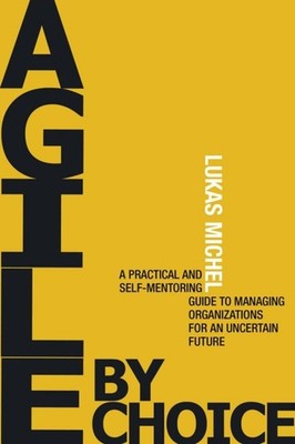 The Performance Triangle: Diagnostic Mentoring to Manage Organizations and Peopl