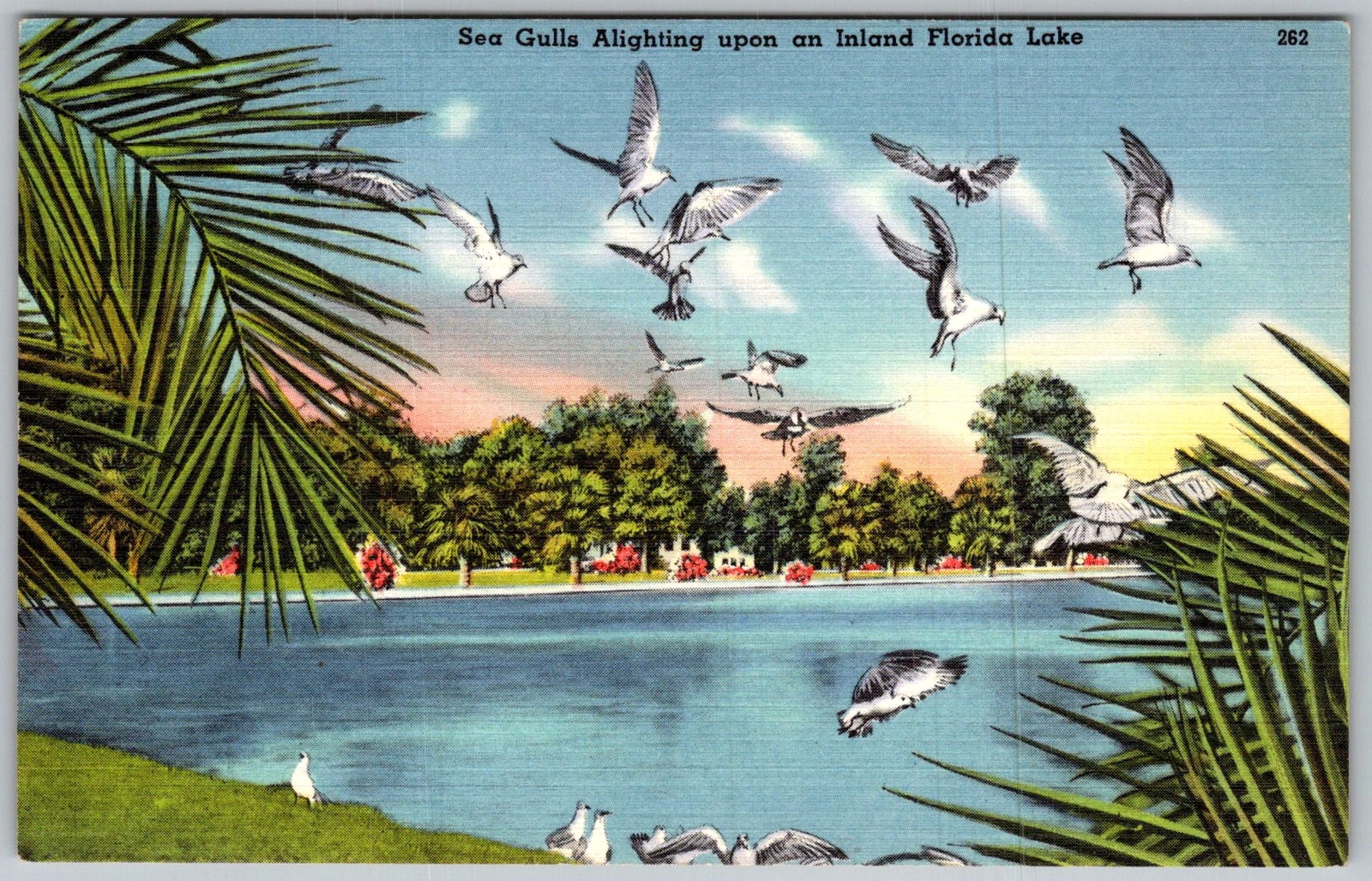 Vtg Linen Postcard Sea Gulls Alighting Florida, US 1940s