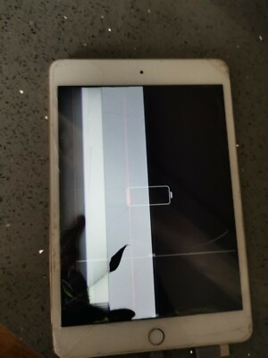 Apple iPadmini4 ゴールド Apple iPad mini 4 - 128GB Wi-Fi - Gold (Renewed) : Amazon.ca