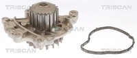 Triscan Wasserpumpe, MotorküHlung U.A. FüR CitroËN, Ds, Ford, Opel, Peugeot