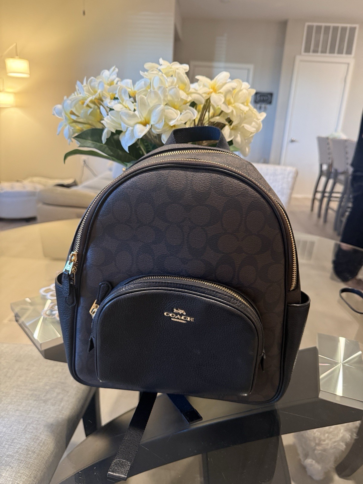 Coach Backpack - image 1