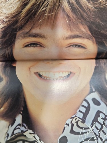 SPEC 16 Magazine Color Pin Up Pull Out Poster David Cassidy August 1972 No 41 - Picture 15 of 21
