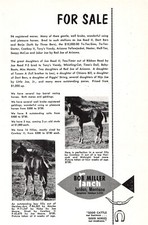 Bob Miller Ranch Good Cattle & Horses Sale Jordan MT 5.2 x 7.5