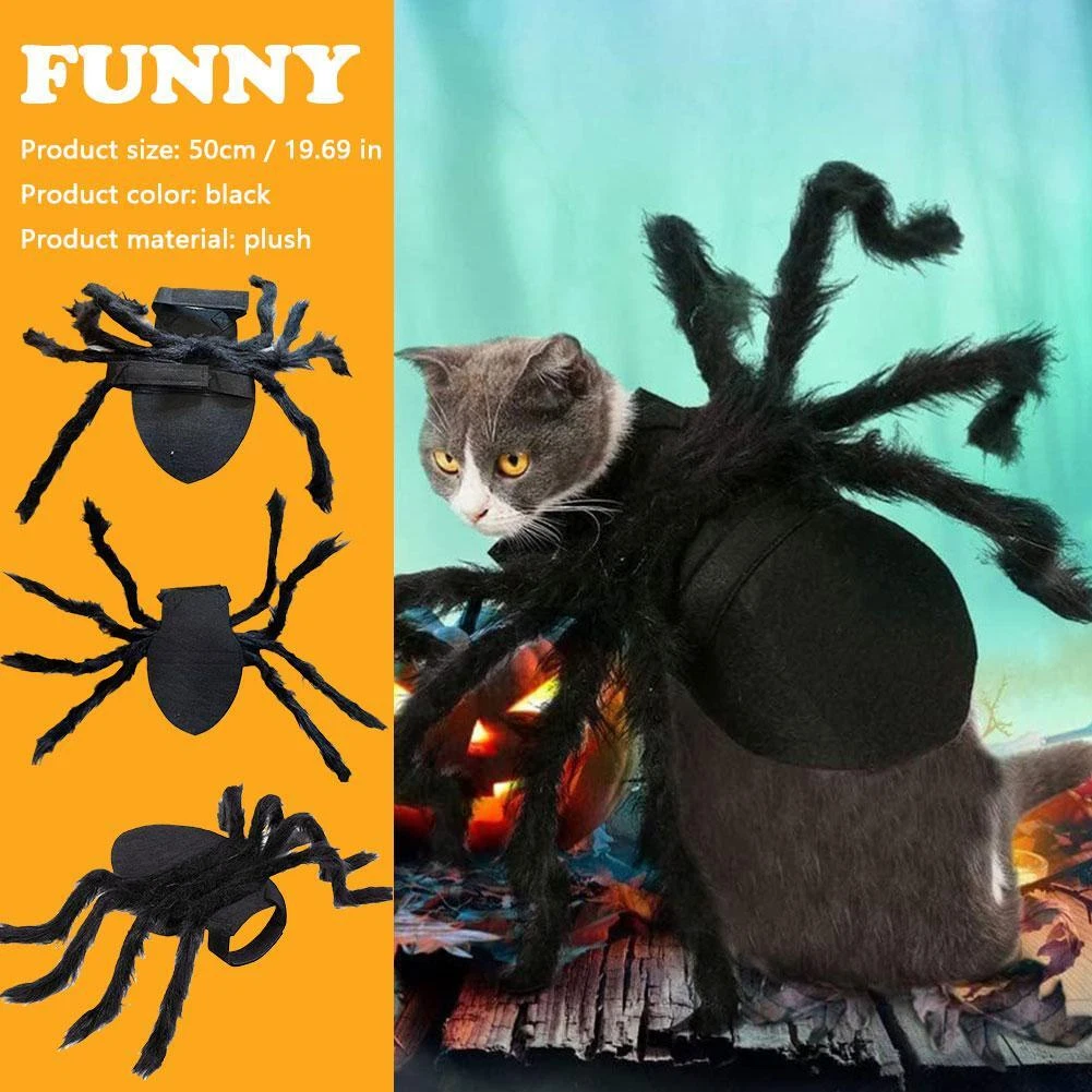 Scary spider dog sales