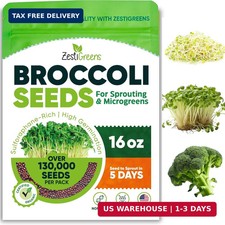 Broccoli Sprouting Microgreens Seeds x 1 lb. Organic, Non-GMO, Heirloom Sprout