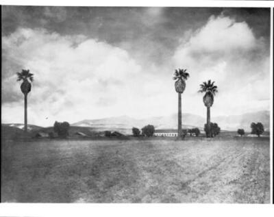 Distant view from the north of Mission San Fernando 1885 California Old Photo