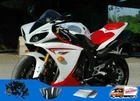Fairing Gloss Red White Injection Plastic Fit for 2009-2011 Yamaha YZF R1 NTUA