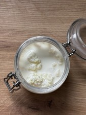 Milchkefir Kefirknollen 15g aus H-Vollmilch 3,5 % Fett