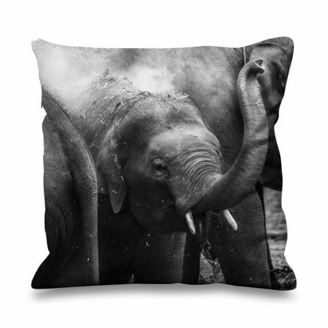 baby elephant sofa