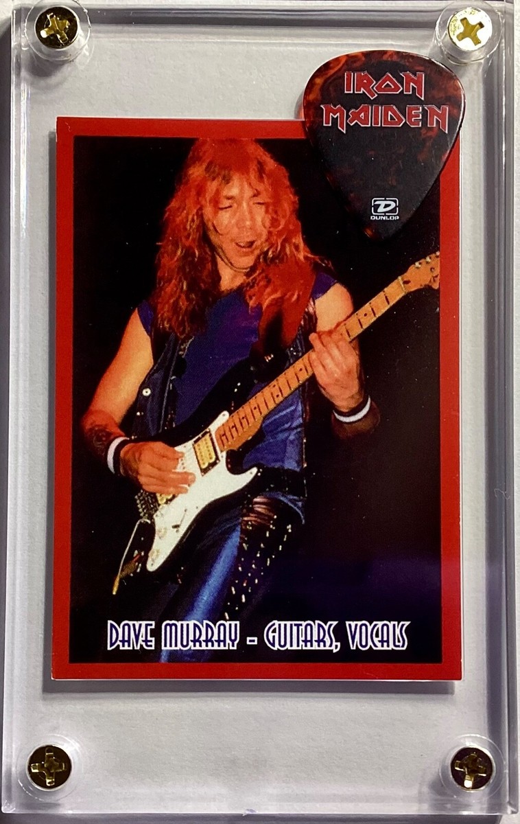 【希少】 Iron Maiden/Dave Murray/Guitar Pick IRON MAIDEN / DAVE MURRAY / ERNIE BALL / 100% AUTHENTIC TOUR