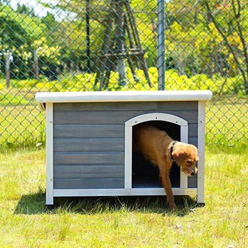 Dog Kennel for OutsideDog House with Removable Floor for Easy Cleaning