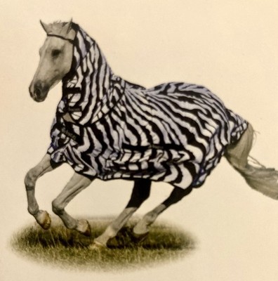 BUCAS SWEET ITCH ZEBRA FLY SHEET W/Full Neck AND Belly Band SIZE 78 new in Bag!!