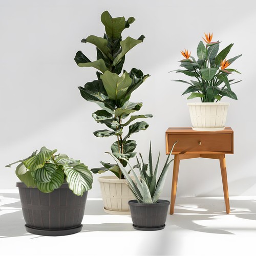 10 inch Plastic Flower Pots for Indoor Plants,4 Pack Large Outdoor Planter Po... - Picture 3 of 6