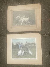 VTG Large Color Photo Bird Hunting Dog Shooting Shotgun Pheasant Club Hunters