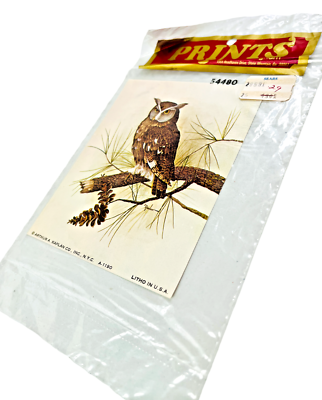 Gartenflagge „Owls In Love“ – 30,5 X 45,7 Cm, Aus Polyester, Bedruckt Mit Eulen-Motiv