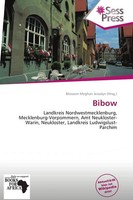 Blossom Meghan Jessalyn | Bibow | Taschenbuch | Deutsch (2026) | Omniscriptum