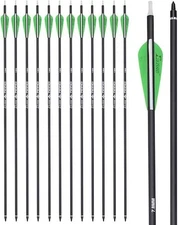 Archery 26Inch Carbon Arrow Practice Hunting Arrows with 100 Grain Removable