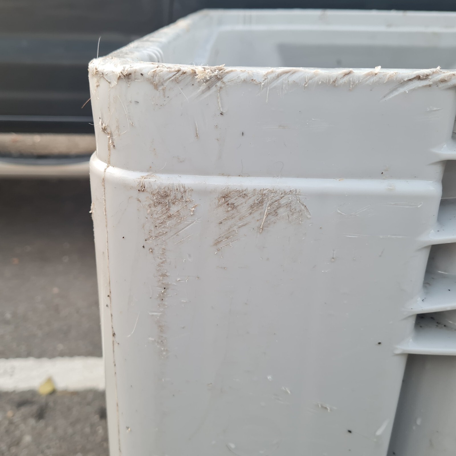 Fish Stock Tank 600L / Koi Holding Tank eBay