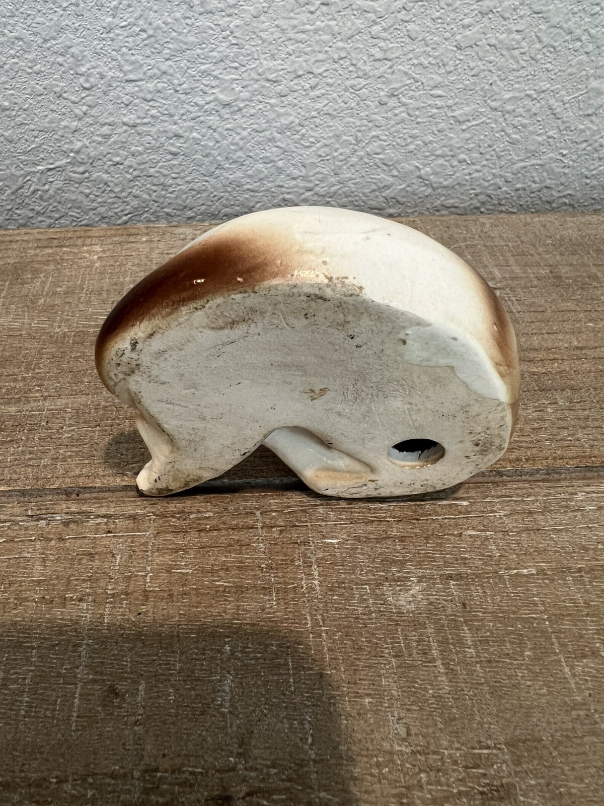 Bild 5 von 9