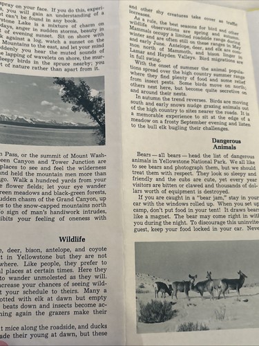 Yellowstone National Park 1966 Park Map Brochure - Picture 6 of 8