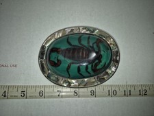 REAL SCORPION INCASED IN RESIN Western BELT BUCKLE