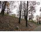 Civil War Relic: Fired Miniball, Dug On MISSIONARY RIDGE Tennessee — photo 4