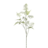 artplants KüNstlicher Zweig Asparagus Plumosus Plavin, GrüN, 130Cm