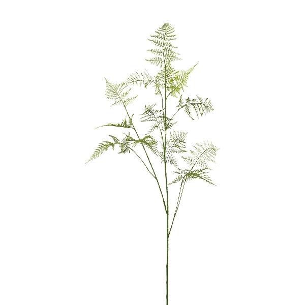 artplants KüNstlicher Zweig Asparagus Plumosus Plavin, GrüN, 130Cm-image