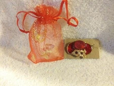 Red Hat Society Women's Pin Brooch  W/ Red Gift Bag JJI