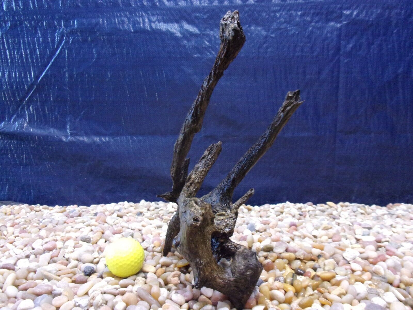 Picture 5 of 6
