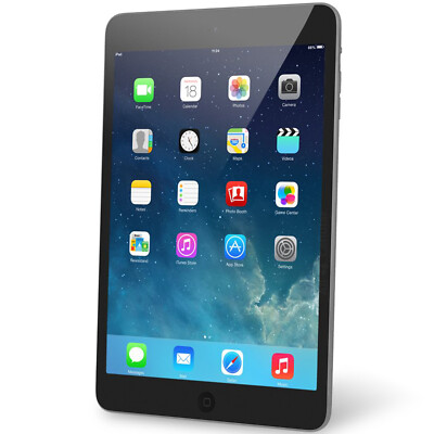 Bundle Deal - Apple iPad Mini 2 32GB, Space Gray, 7.9-inch Retina