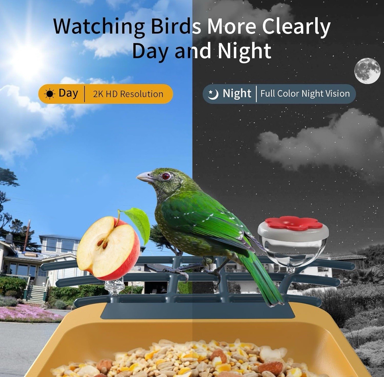 oddkont Bird Feeder with Camera - Smart Bird Feeder Camera with AI Identify Bird