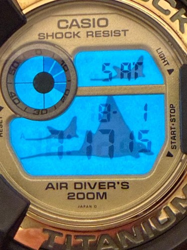CASIO G-Shock FROGMAN W.C.C.S. DW 8201WC No.gs3825 - Gem