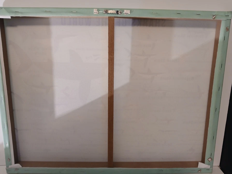 Arte de pared en lienzo Oopsy Daisy Kids Sharks of the World de Daviz, 24 x 18" Foto 2 de 4