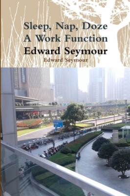 Seymour - Sleep Nap Doze A Work Function - New paperback or softbac - X555z