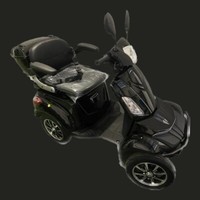E-Scooter Scooter Elektroroller Roller Coco Bike Fat Bike Chopper 1000W